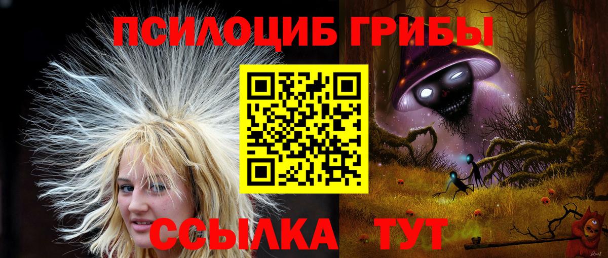 даркнет сайт  Галлюциногенные грибы Magic Shrooms  Вход с VPN  Сухой Лог 